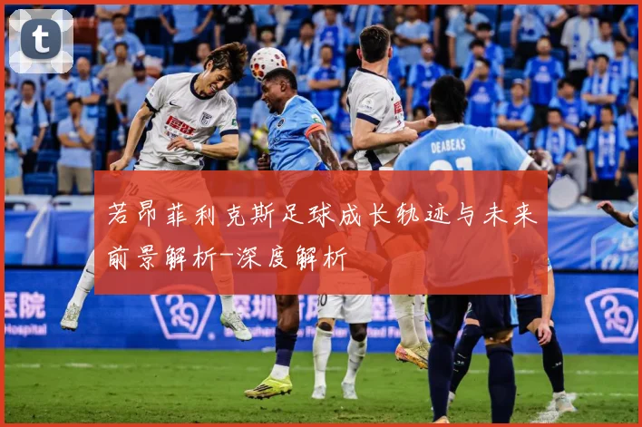 若昂菲利克斯足球成长轨迹与未来前景解析-深度解析