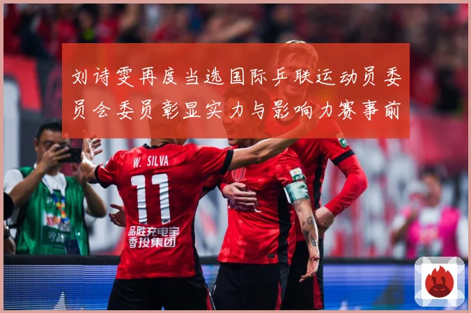 刘诗雯再度当选国际乒联运动员委员会委员彰显实力与影响力赛事前瞻-深度解析